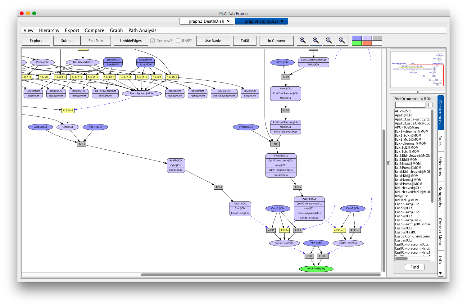 apoptosis-subnet.png