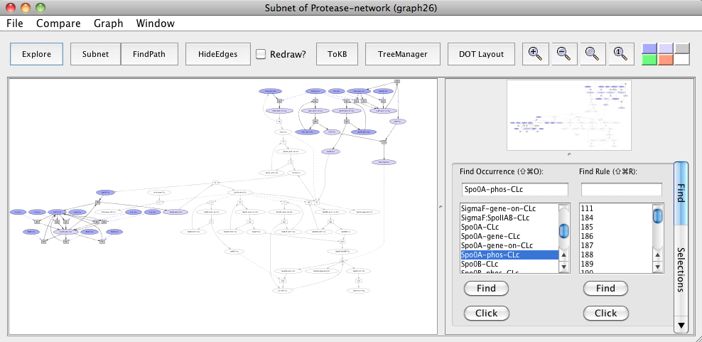 protease11